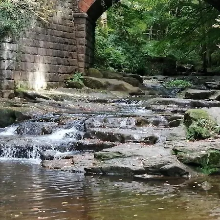 Bernie's Watch, 펜션 *